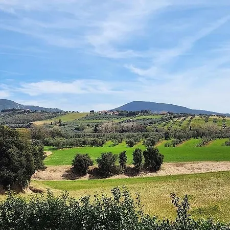 Bellavista San Vincenzo